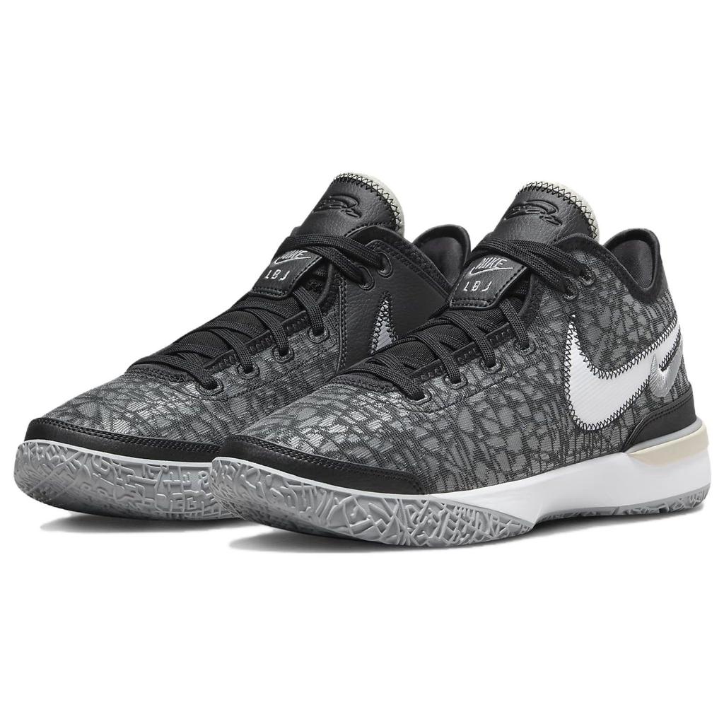 Nike Zoom LeBron NXXT Gen EP Black Wolf Grey Мужские кроссовки White Light-Bone DR8788-005