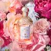 Guerlain Aqua Allegoria Rosa Rossa Eau de Toilette With Habit Rouge Eau De Toilette Perfume Set 75ml+100ml