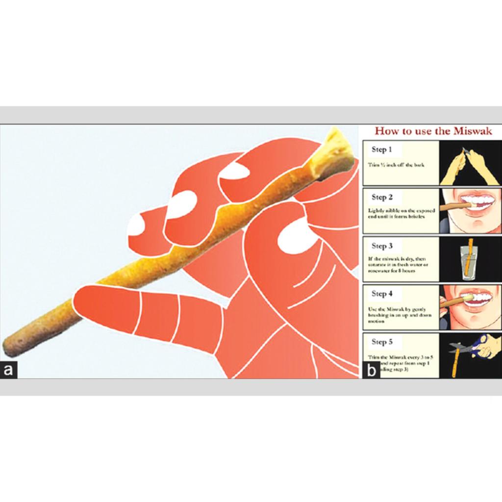 Zaitoon Miswak Травяная натуральная зубная щетка Натуральная ароматизированная щетка Органические зубные палочки Исламская сунна Продукт