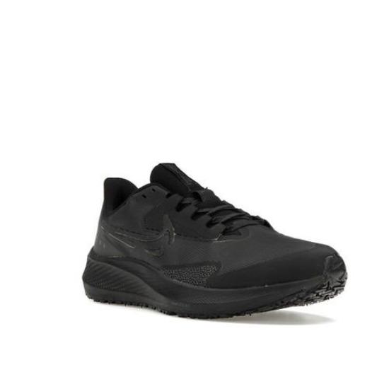 Nike Air Zoom Pegasus 39 Shield Low Черный DO7625-001