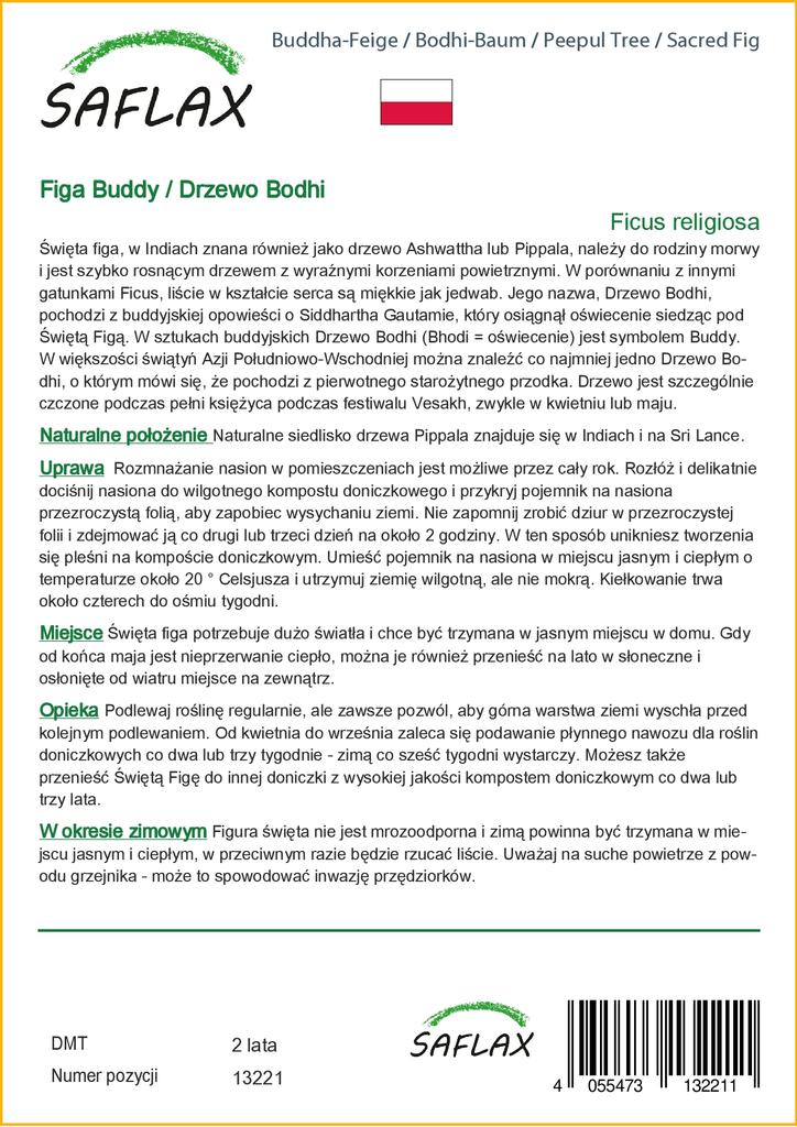 SAFLAX Peepul Tree / Sacred Fig - 100 семян - Ficus religiosa