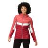Regatta Womens/Ladies Harrock II Baffled Hooded Jacket