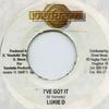 7-дюймовая пластинка LUKIE D / ICE - I've Got It / Longi La La Vendetta 2004 Ямайка Регги, Ска и Даб
