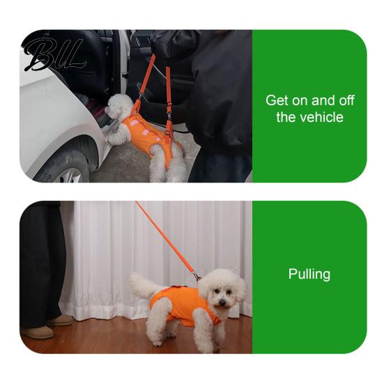 Senior Dog Mobility Aid for Stairs Lift Harness, Padded Sling Harness with Handles, Adjustable Full-Body Assisted Walking Weak Legs Support Back Legs,