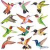 Anti-Collision Window Clings Bird Alert Collision Decals to Prevent Bird Strikes on Window Glass - Set of 12 Hummingbirds