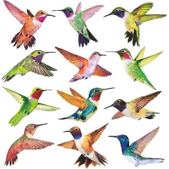 Anti-Collision Window Clings Bird Alert Collision Decals to Prevent Bird Strikes on Window Glass - Set of 12 Hummingbirds