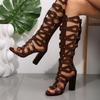 Summer New Sandals Women Round Toe Fish Mouth Cutout Rear Zipper Anti-slip Wear-resistant Super High Heel Roman Shoes