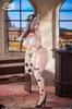 MODEL WAY Dairy Cow Sister OUKO масштабная покрашенная готовая фигурка [Uko-chan] 1/6 ПВХ и АБС