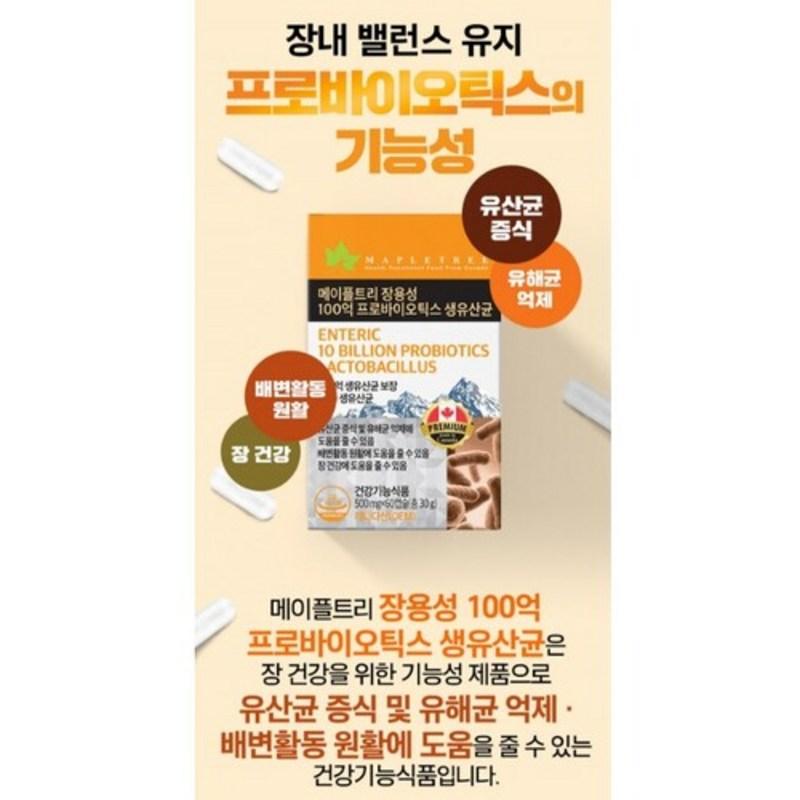 Probiotics 17 types of mixed lactic acid bacteria including Lactobacillus rhamnosus Fermentum bulgaricus Elderly Senior 60 capsules x 3, tablets, 3