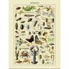 Принт 'Членистоногие' Адольфа Мийо