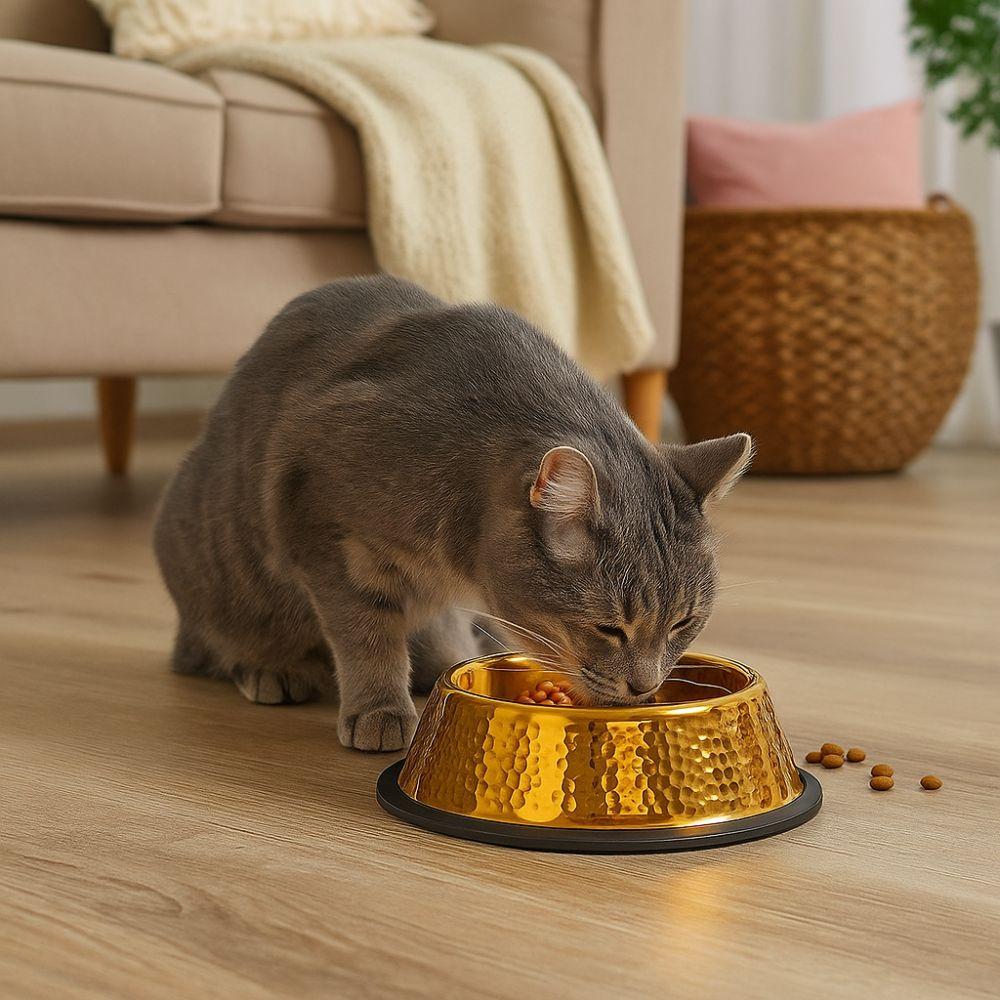 Stainless Steel Pet Feeding Bowl Gold Plated Cat Food Dish Dog Water Food Bowl  for Feeding