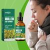 Mullein Dietary Supplement Vitamin Supplements