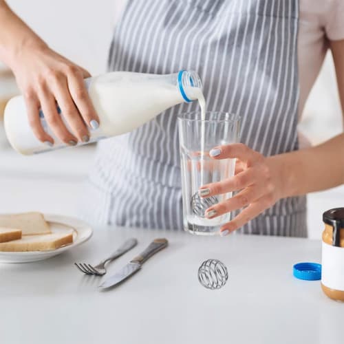 2 Stainless Steel Wire Whisks for Shaker Cups, Bottles, and Mixers (3cm Diameter)