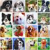 5D Diy Diamond Painting Animal Dog Full Circle Diamond Embroidery Art Picture Mosaic Gift Home Decoration Cross Stitch Kit Gift