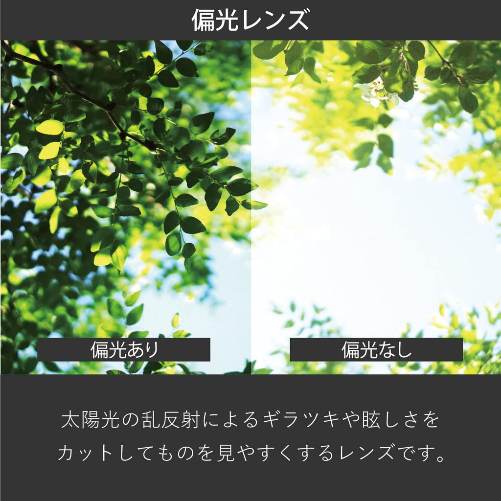 Swans Smoke OG-4 Overglasses, Clear/Polarized Smoke, OG4-0051