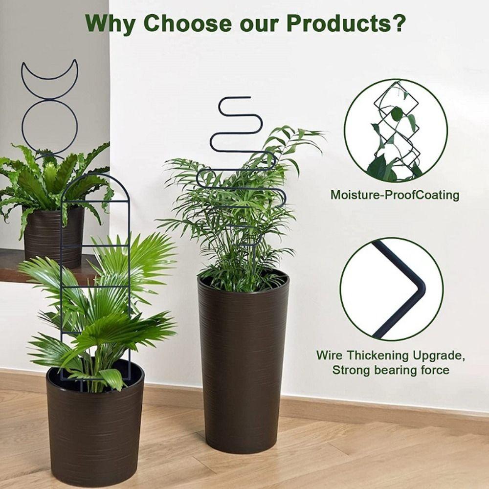 Универсальная шпалера для вьющихся растений, держатель для комнатных растений, цветов