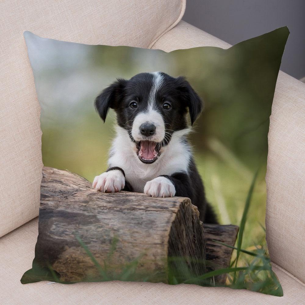 Милый питомец животное собака принт наволочка шотландский бордер колли подушка чехол диван украшение для автомобиля
