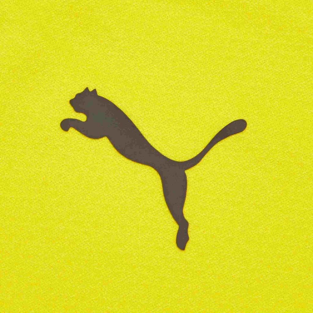 Puma Боруссия Дортмунд Футбольный принт с воротником-стойкой и длинным рукавом Толстовка Мужская верхняя одежда Желтый 758582-01