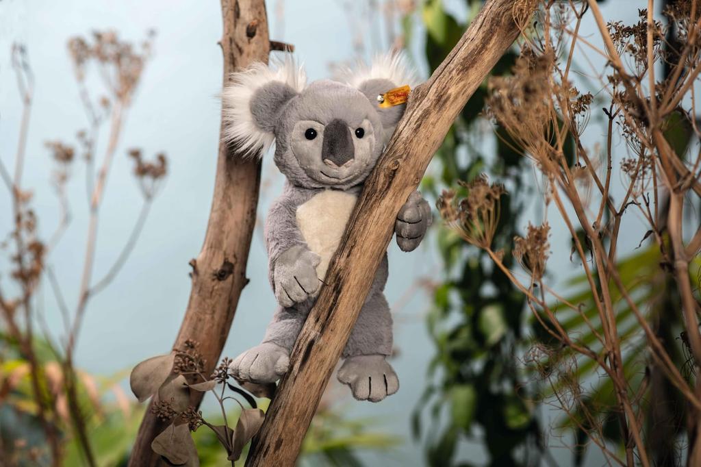 Steiff Cuddly Friends Koala Nils 30 см 067587 Японский [Авторизованный продукт]