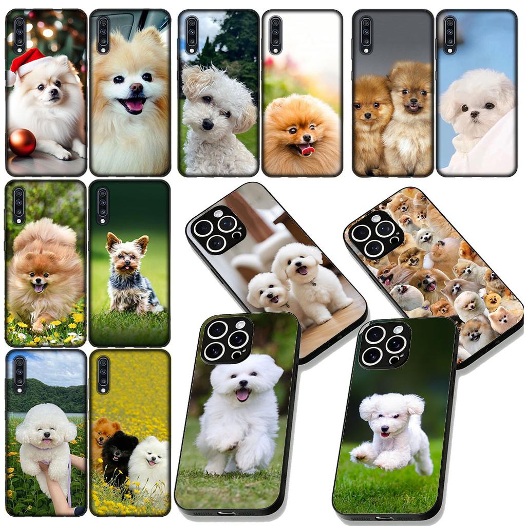 Bichon Frise Pomeranian Dog Phone Case for Samsung Galaxy Note 20 9 10 S8 S10 Lite S9 Plus A54 A53 A21S S10E A17 Cover Casing