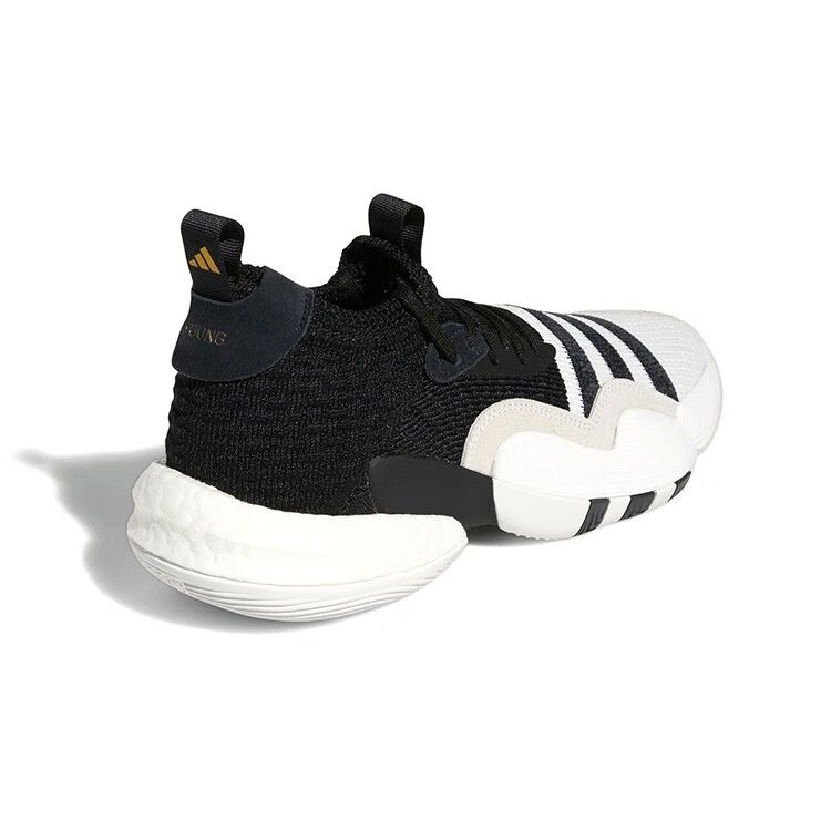 adidas Мужские кроссовки Trae Young 2 Super Villain Black Cloud-White Core-Black H06477