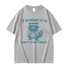 It Is What It Is and It Is Not Great Raccoon Funny Meme T-Shirt Men Women Harajuku Retro Fashion High Quality T Shirts Oversized