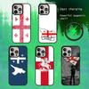 Чехол для телефона Флаг Грузии Для iPhone 17, 16, 15, 14, 13 Plus, Pro Max Магнитный Для Magsafe Беспроводной Зарядки