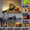 Lion Wall Pictures Canvas Painting African Wild Animals Posters and Prints Wall Art for Living Room Home Decor Decoration