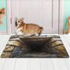 3D Optical Illusion Floor Mat Non-Slip Vision Rug with Stunning 3D Visual Effect Design Area Rug for Living Room Bedroom Hallway Easy Care Carpet