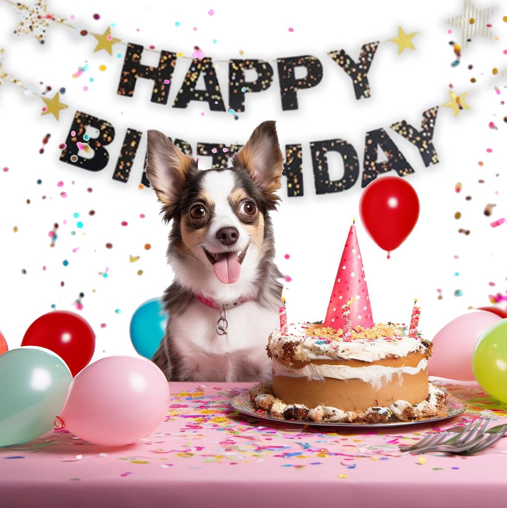 Баннер с днем рождения Украшения на день рождения для вечеринки по случаю дня рождения Украшения на день рождения Знак с днем рождения