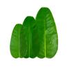 Искусственное растение Ложный лист Одиночный лист Банановый лист Зеленый лист Домашний столовый коврик Зеленое растение Украшение