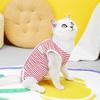 Pet Neutering Suit Colorful Striped Cat Sterilization Surgery Suit Fastener Tape Closure Dog Recovery Suit Pet Supply