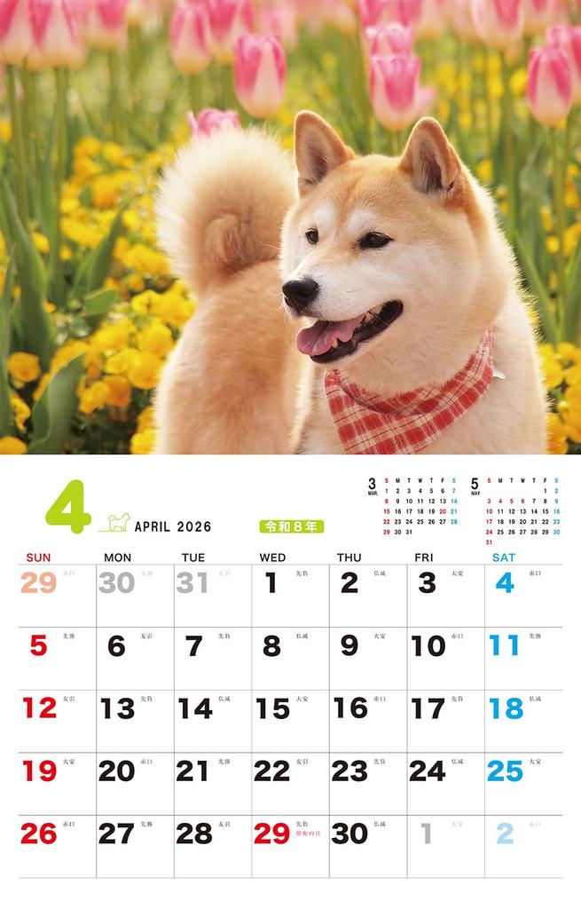 Жизнь с Шиба-ину Календарь 2026 (Календарь)