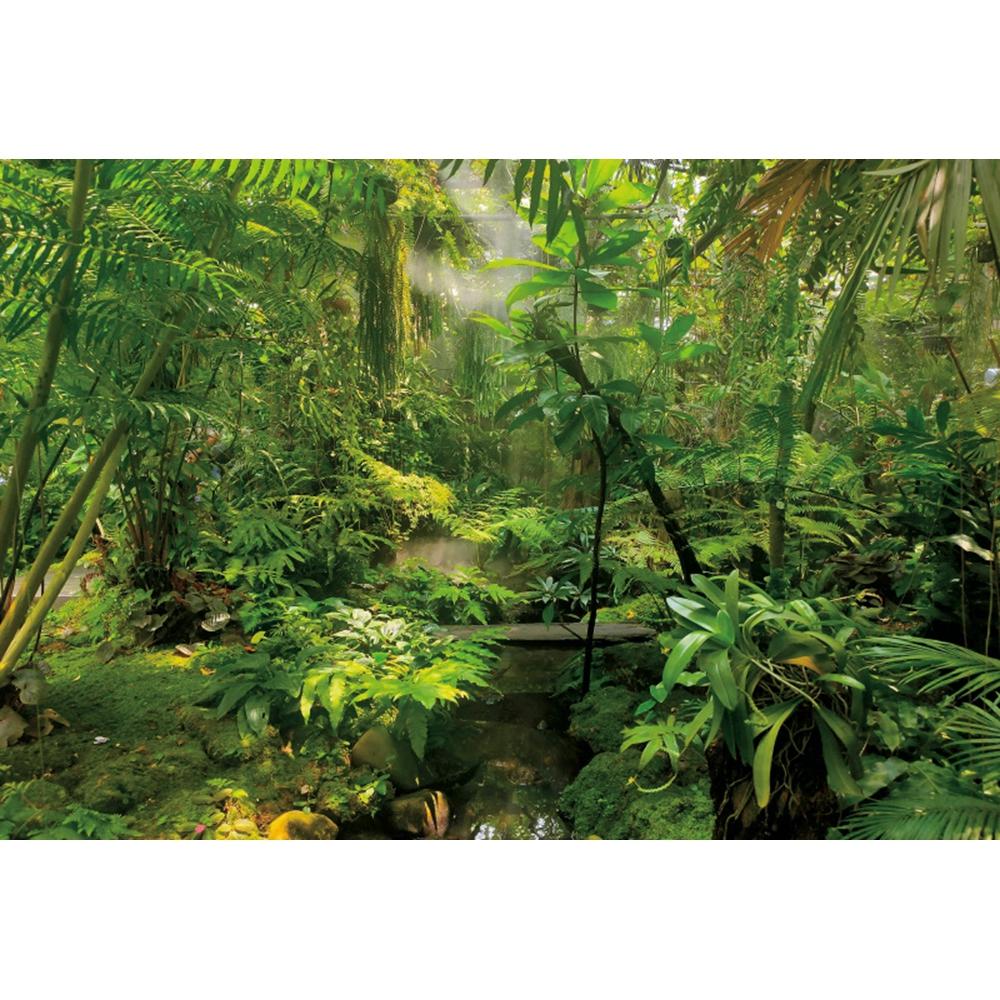 Spring Forest Backdrop Tropical Jungle Rainforest Backdrops for Photography Camping Adventure Birthday Background Photo Studio