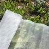 CAOX Durable Insect Screen Mesh