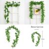 Plastic Common Plant Bowringia Wall Hanging For Wedding Home Interior Decor