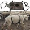 Breathable Sheep Anti-Mating Belly Band - Durable, Sturdy Wrap for Ewe Protection