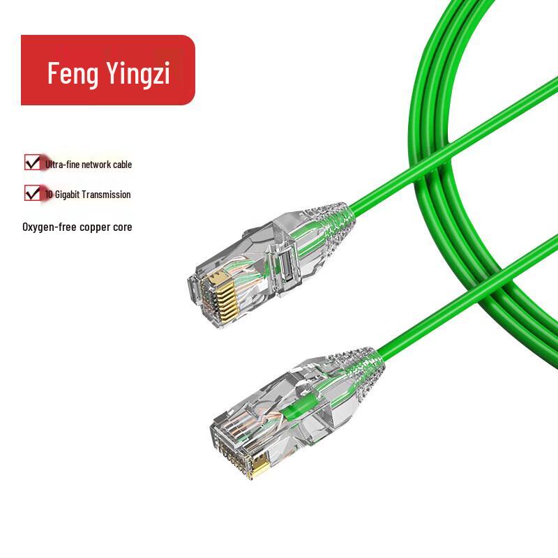 FYZ Cat6A 10 Gigabit Ethernet Patch Cable