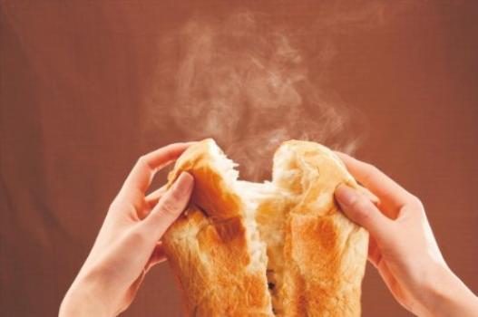 Panasonic Home Bakery 1 Loaf Type Pink White SD-BH106-PW