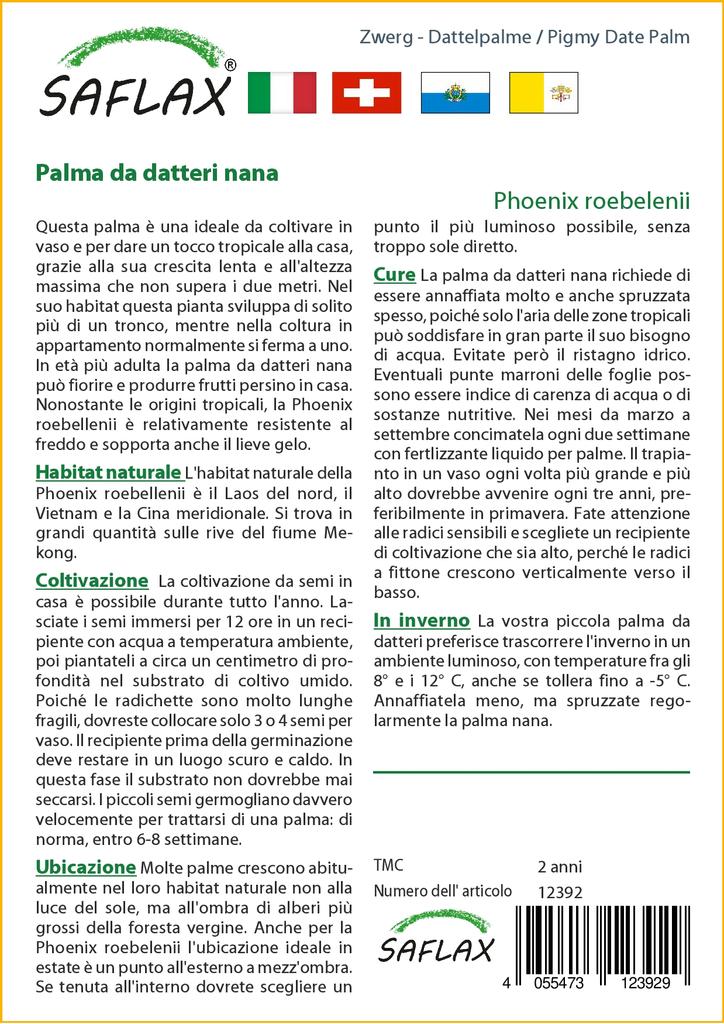 SAFLAX Финиковая пальма пигмейская - 25 семян - Phoenix roebelenii