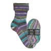 Носочная пряжа Opal "Hundertwasser Color 2106"