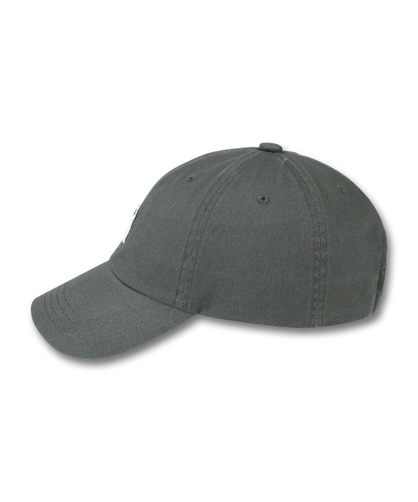 DOLPHIN WAVE APPAREL Серая кепка-бейсболка с вышивкой Dolphin Mini