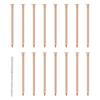 15/20 Pcs Copper Nail for Killing Trees Stumps Root Stump Removal Spikes Hardware Copper Nail Trees Tool Accessories