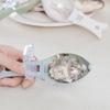 Рыбья чешуя Терки Скребок Инструмент для чистки рыбы Устройство для очистки чешуи с крышкой Домашняя кухня Кулинария Рыболовный инструмент Снасти Pesca