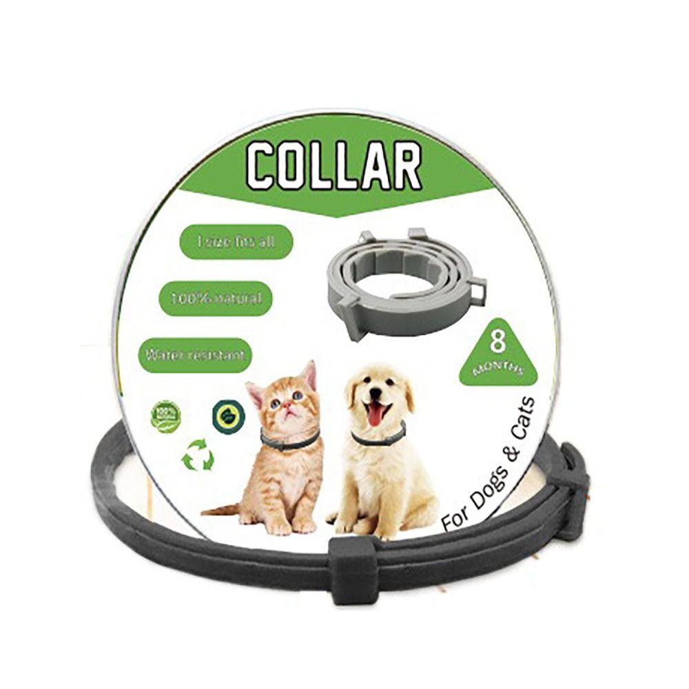 8 Month Protection Flea and Tick Collar Retractable Pet Supplies Antiparasitic Collar  Teddy