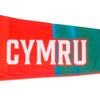 Уэльс Cymru Детский/Подростковый Флисовый Комбинезон для Сна с Гербом