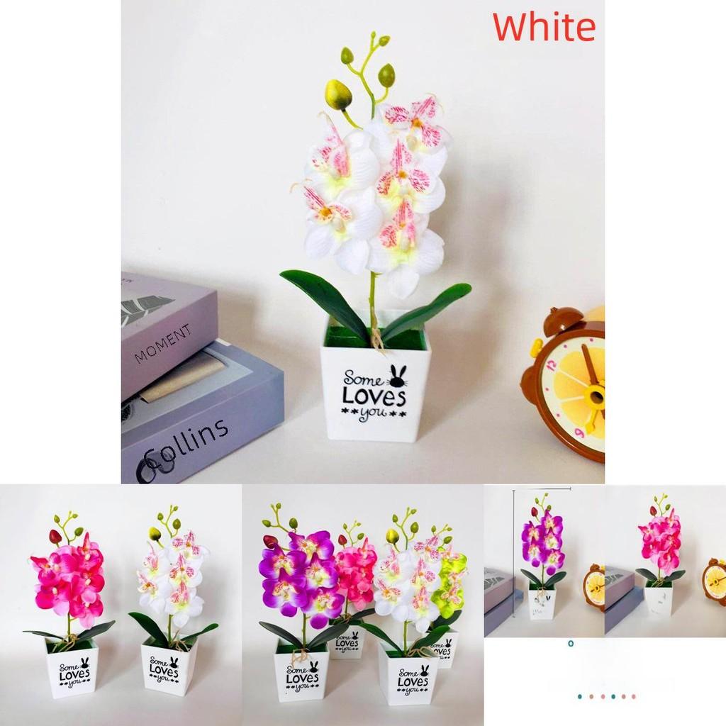 Faux Butterfly Orchid Potted Plant With Injection Molding For Living Room Decor