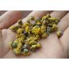 100g Chrysanthemum | Wild Harvest | Wild Chrysanthemum | Ju Hua