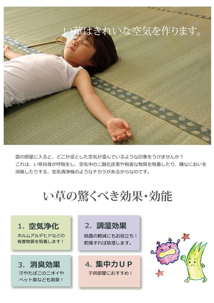 IKEHIKO Igusa Rug, Pine, Fits 6 Tatami Mats (Danchima), Approx. 255 X 340cm, Made In Japan, Double-Weave Carpet with Cypress Finish #1103216