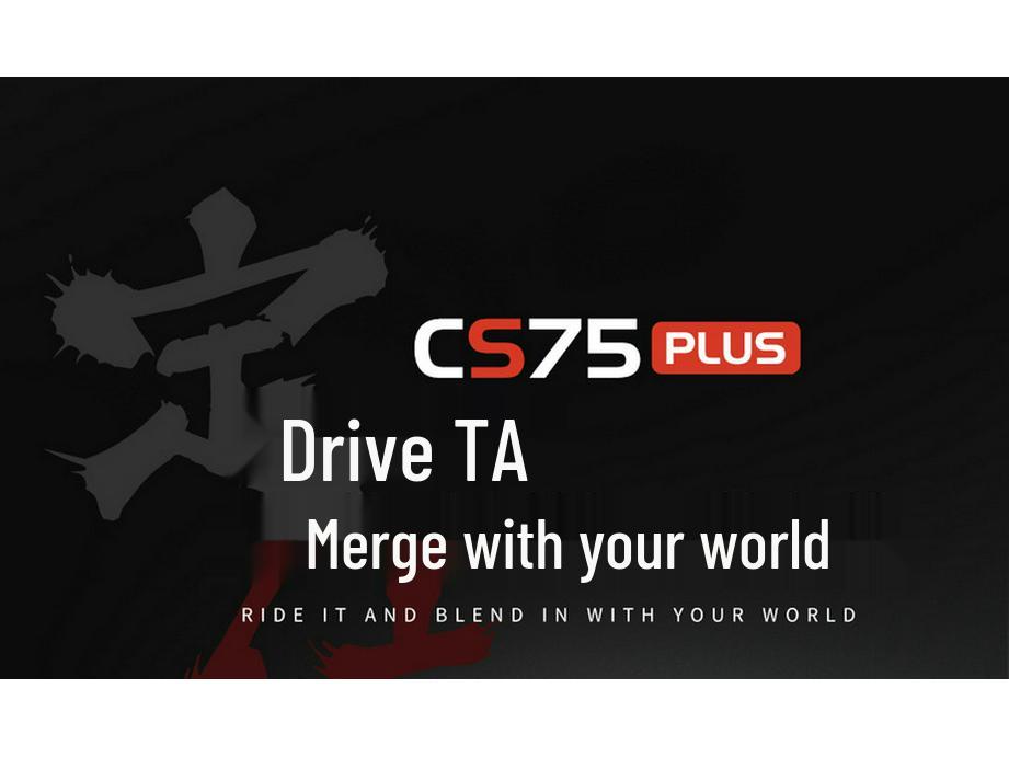 Чехлы на сиденья автомобиля Changan CS75 PLUS 2021-2024, Полное покрытие, Интегрированный подголовник